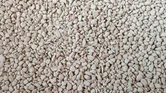 Přidal jsem to do půdy – a rostliny přestaly hnít a chřadnout